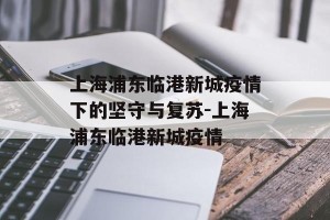上海浦东临港新城疫情下的坚守与复苏-上海浦东临港新城疫情