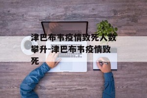 津巴布韦疫情致死人数攀升-津巴布韦疫情致死