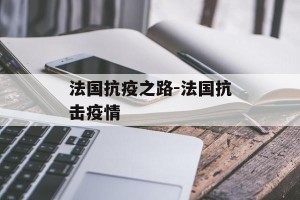 法国抗疫之路-法国抗击疫情