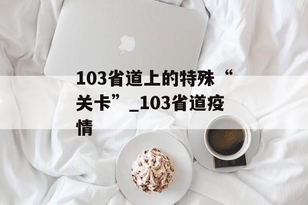 103省道上的特殊“关卡”_103省道疫情